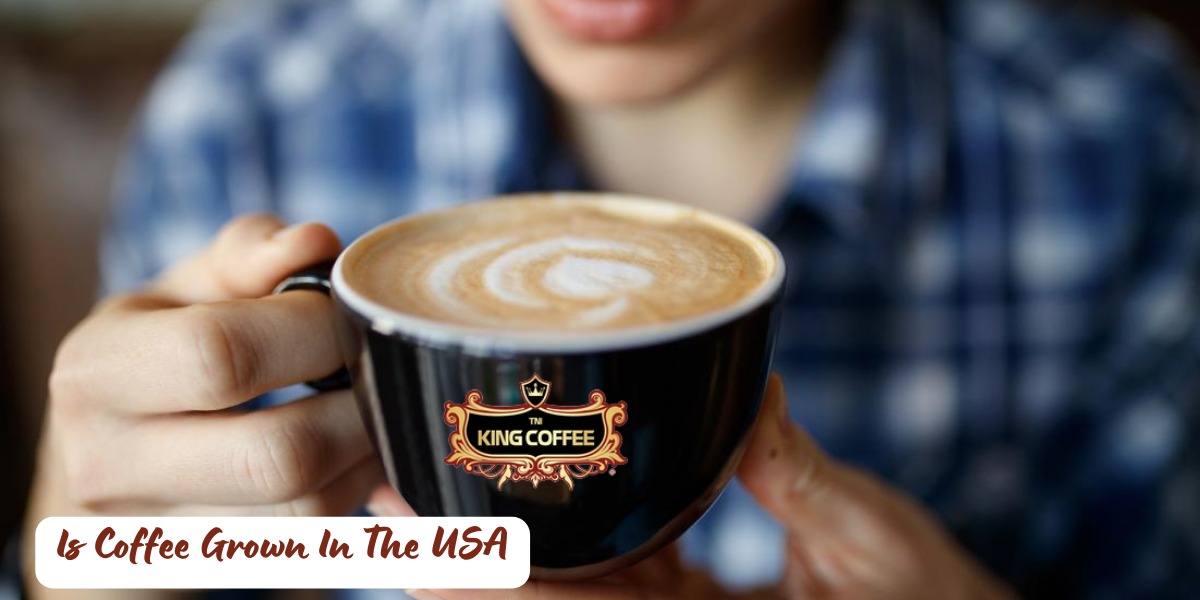Is Coffee Grown In The USA