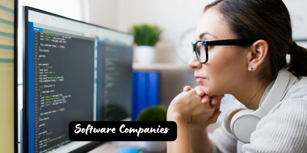 What Do Software Companies Do